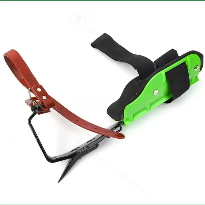 Sepatu Panjat Pohon Berbahan B - Shoe Tree ulasan dan harga