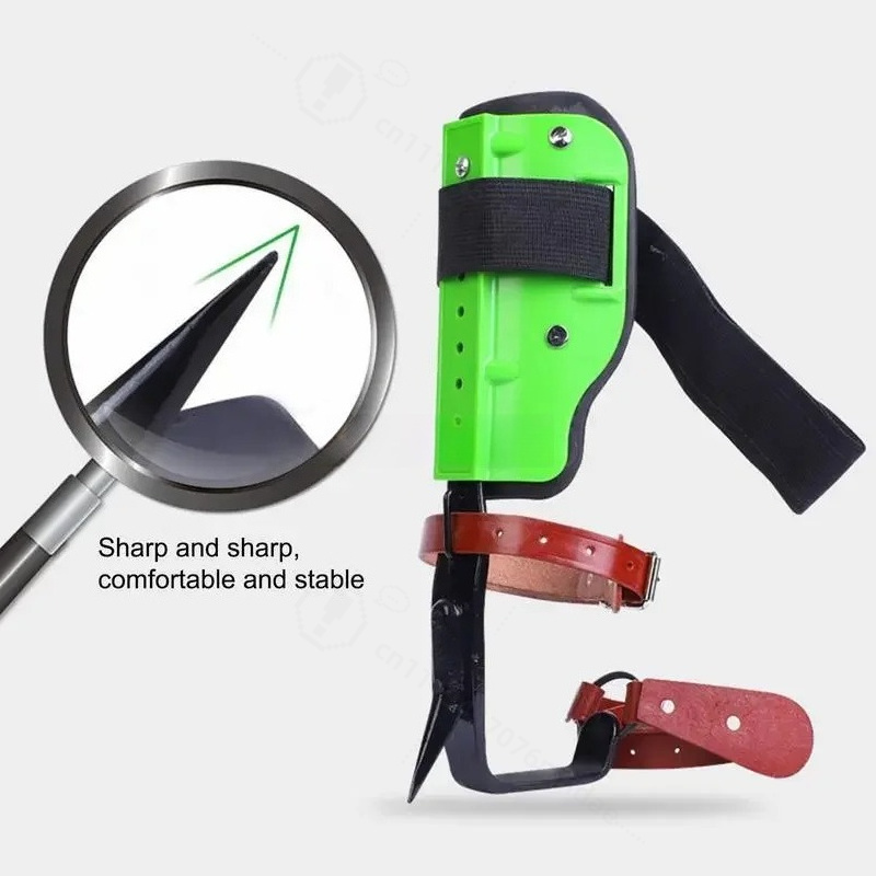 Sepatu Panjat Pohon Berbahan B - Shoe Tree ulasan dan harga