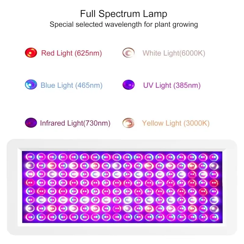 Kotak Lampu UV Terbaru 2026 un - Sneaker Box ulasan dan harga